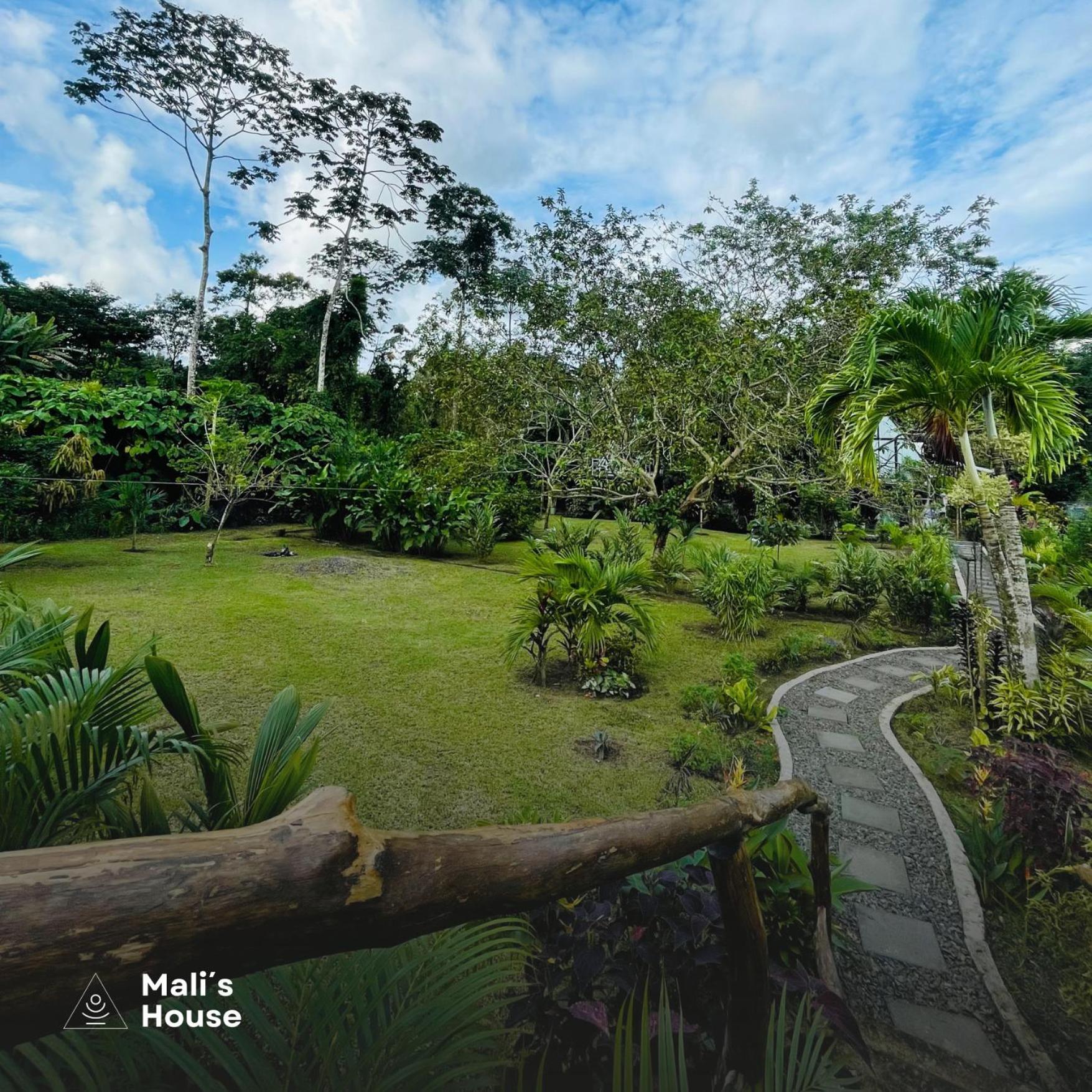 Hotel Mali'S House La Fortuna Exteriér fotografie